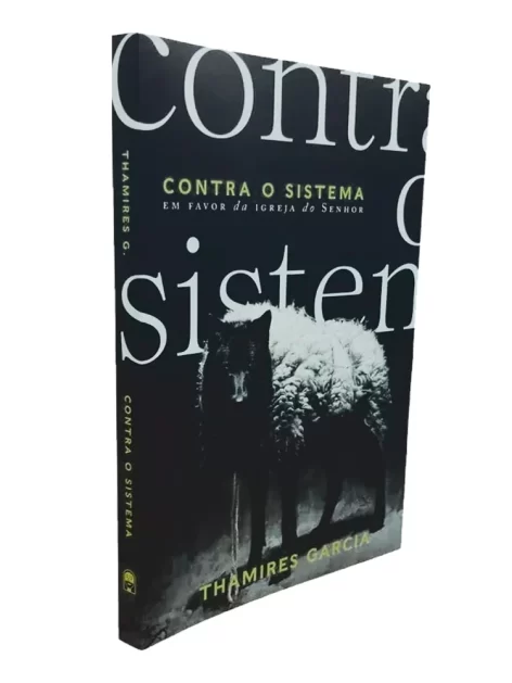 Contra o Sistema | Thamires Garcia